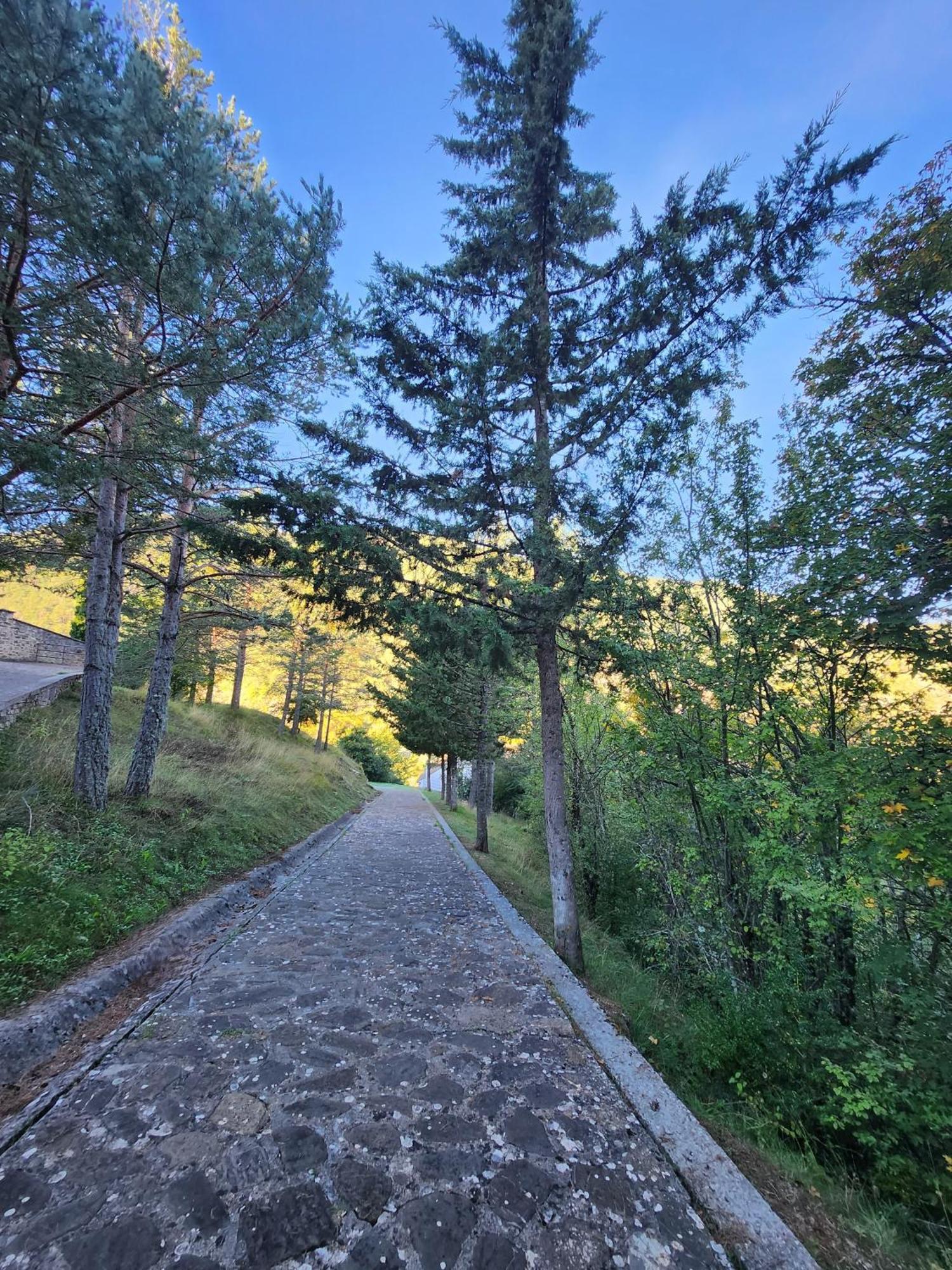 Pensjonat Casa Tadeguaz Fago Zewnętrze zdjęcie